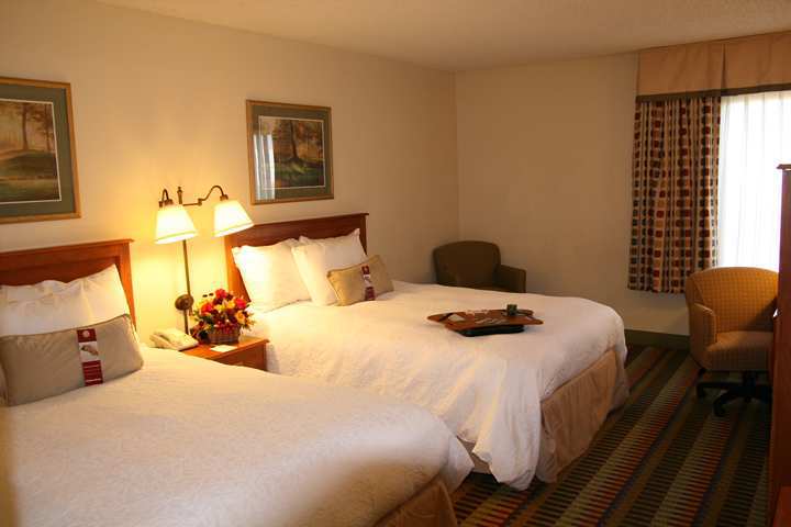 Hampton Inn Phoenix-Chandler Pokój zdjęcie